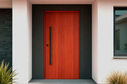 Matte black door handles and hinges installed on white interior door showing modern hardware design